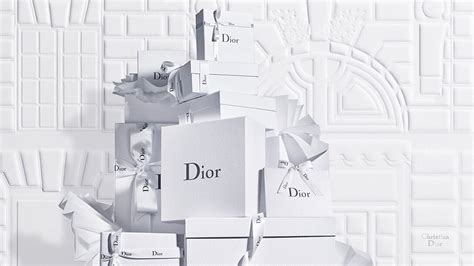 dior french website|official site christian dior.